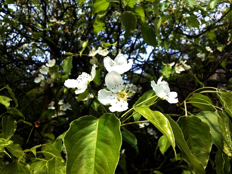 20140329_114813.jpg