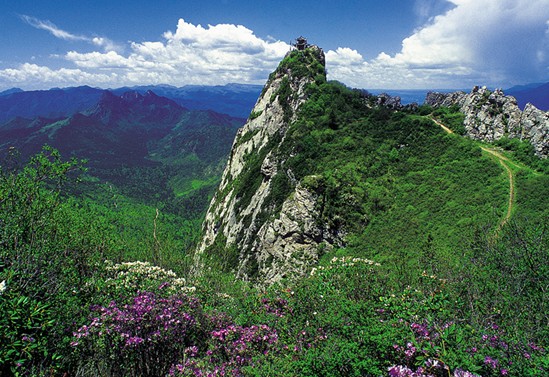 临潭莲花山图片