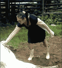 222200sw66fz89foxtsff8.gif