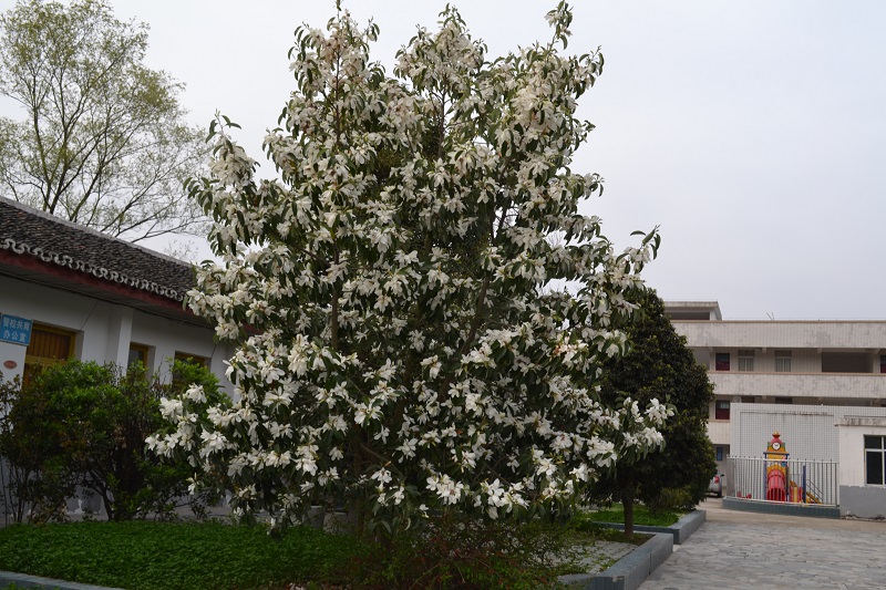 DSC_0007.JPG