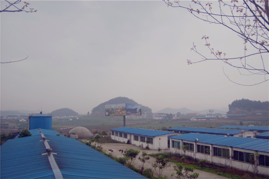 GEDC6551.jpg