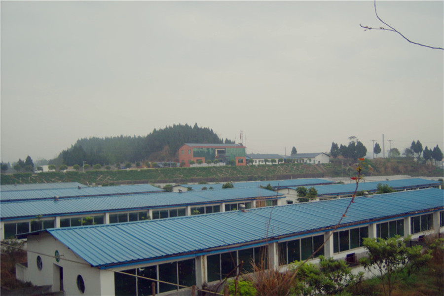 GEDC6552.jpg