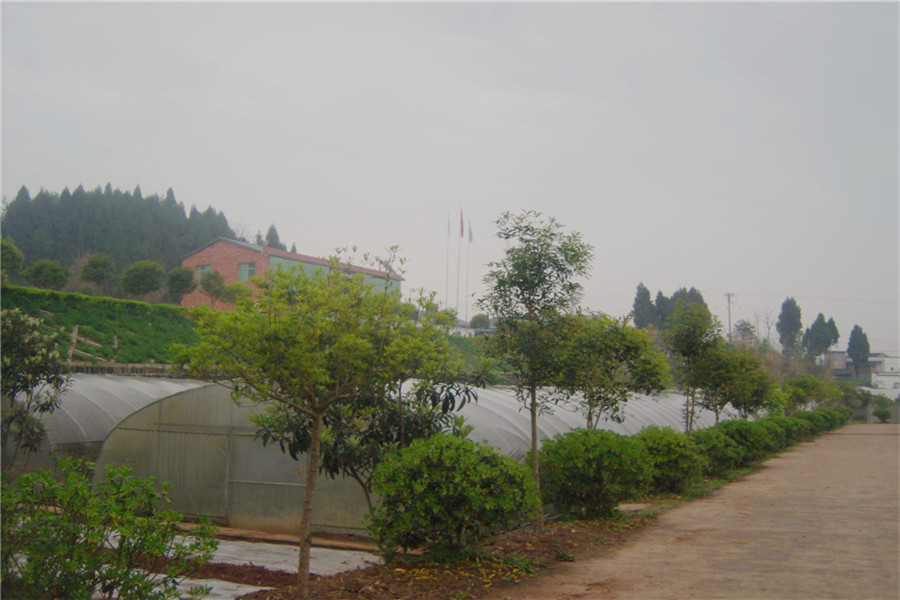 GEDC6562.jpg