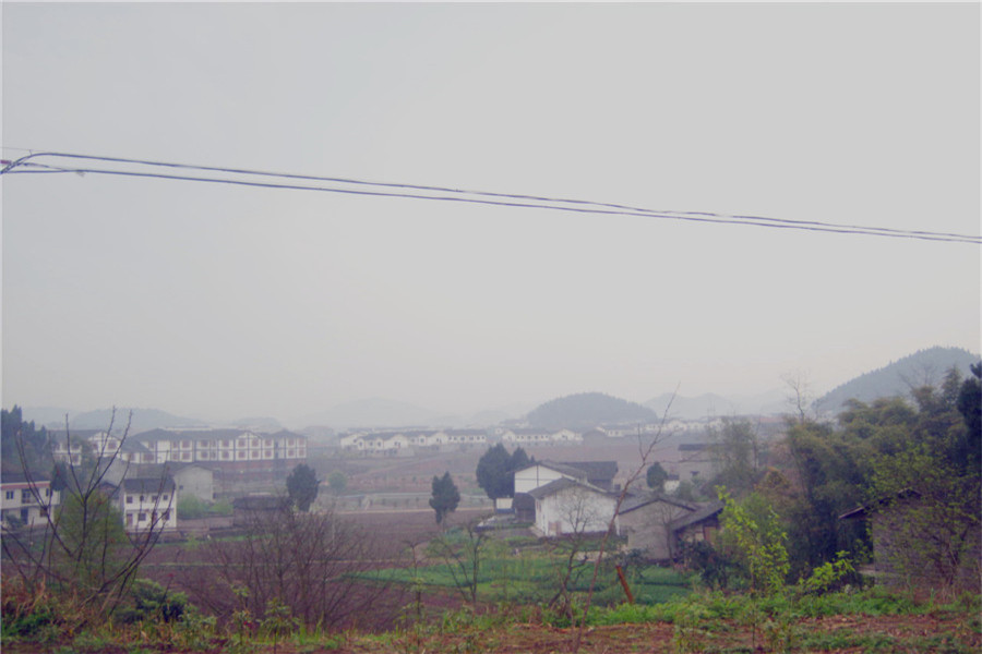 GEDC6594.jpg