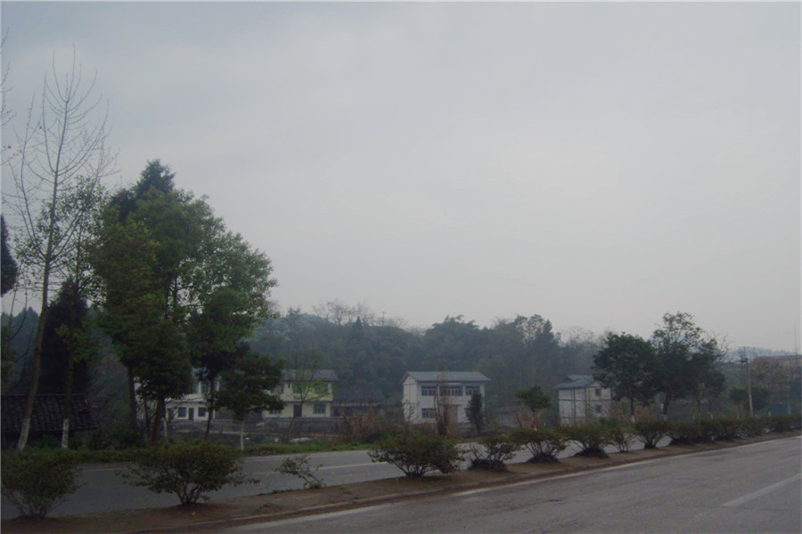 GEDC6629.jpg