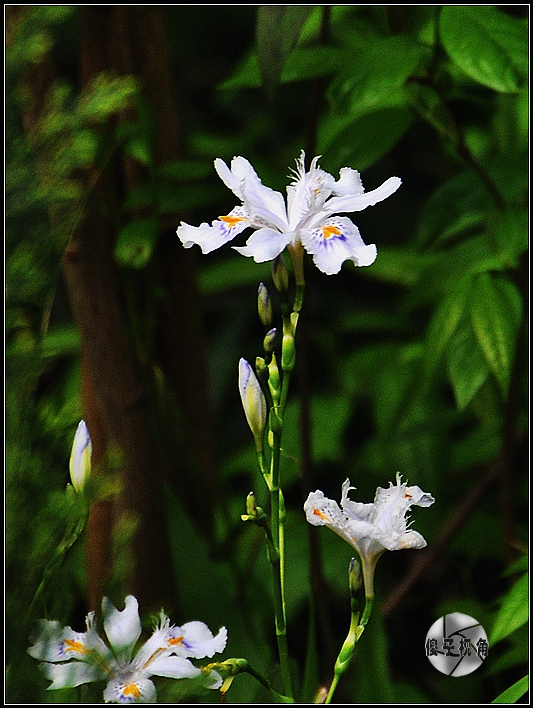 DSC_0138_.jpg