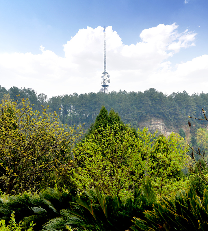 金城山森林公园