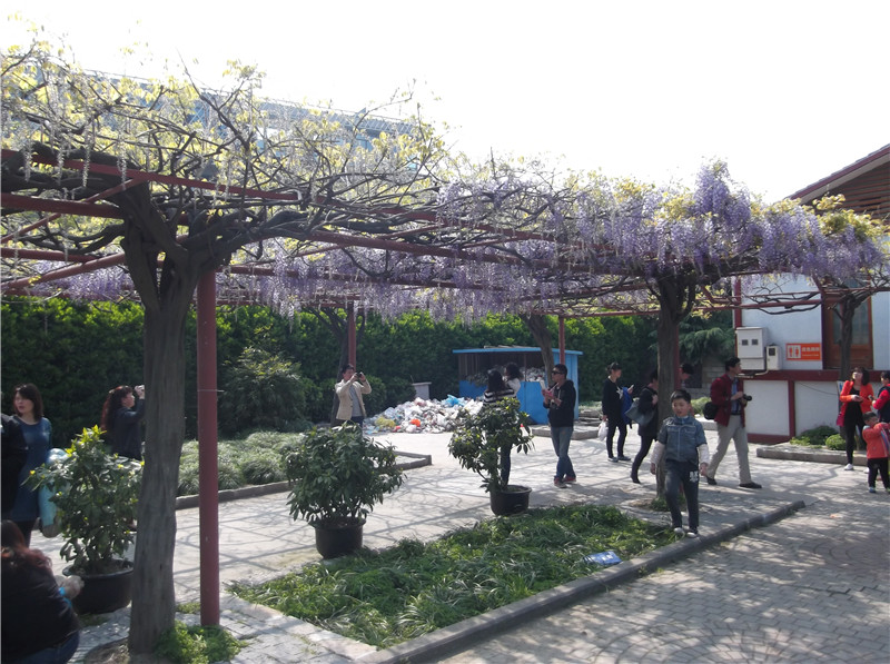 DSCF1435.jpg