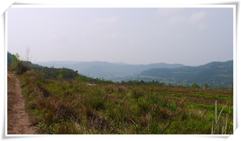 P1000767.JPG
