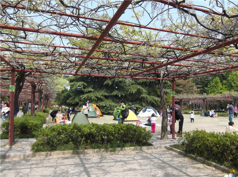 DSCF1359.jpg