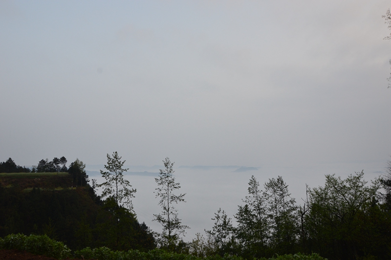 DSC_0140.jpg