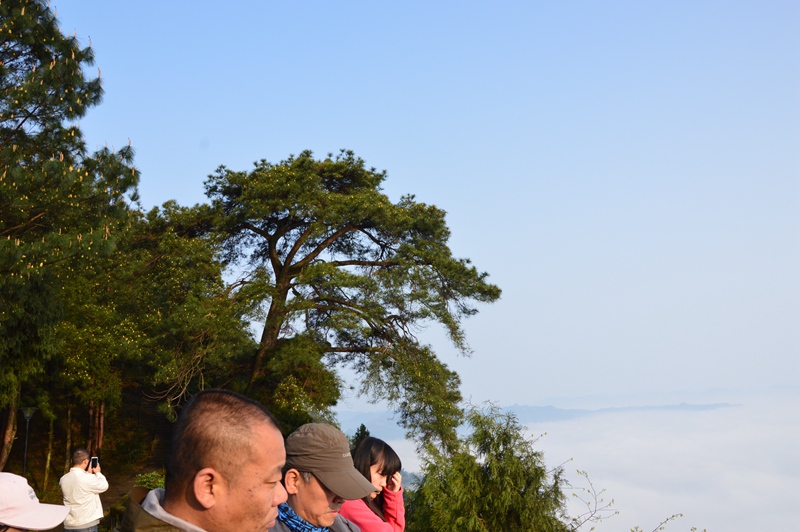 DSC_0165.jpg