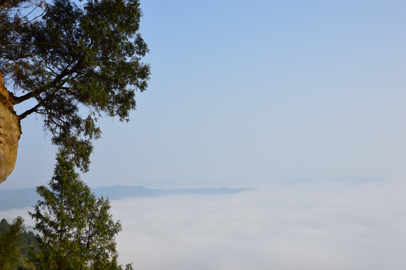 DSC_0197.jpg
