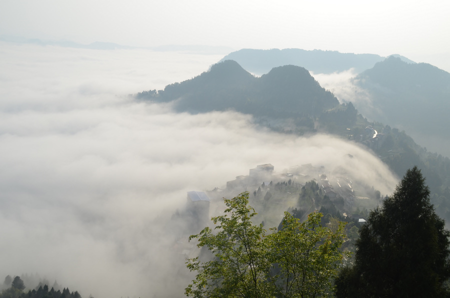 DSC_0277.jpg