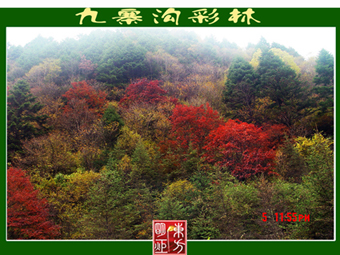 DSC03956 .jpg