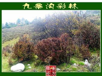DSC04176.JPG