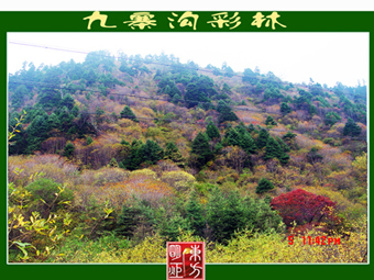DSC04189A.jpg