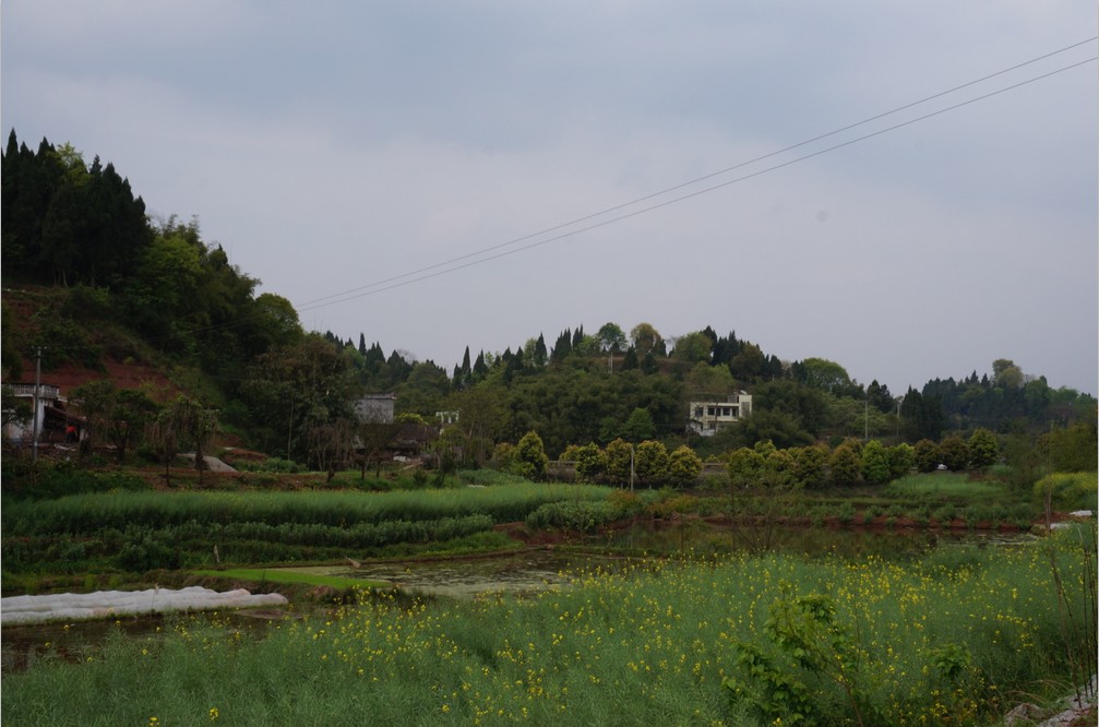 QQͼƬ20140407144824.jpg