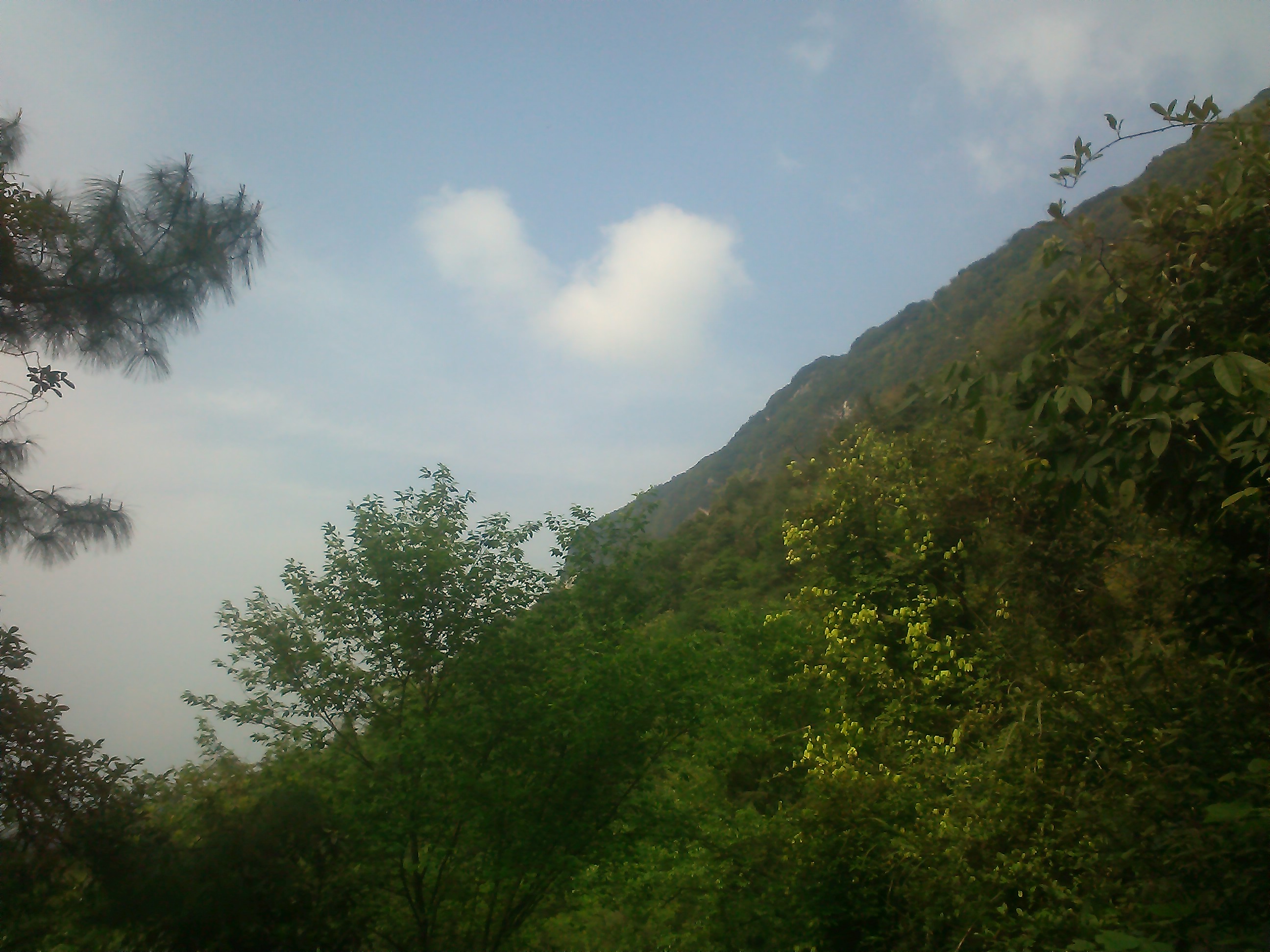 IMG_20140407_165813.jpg
