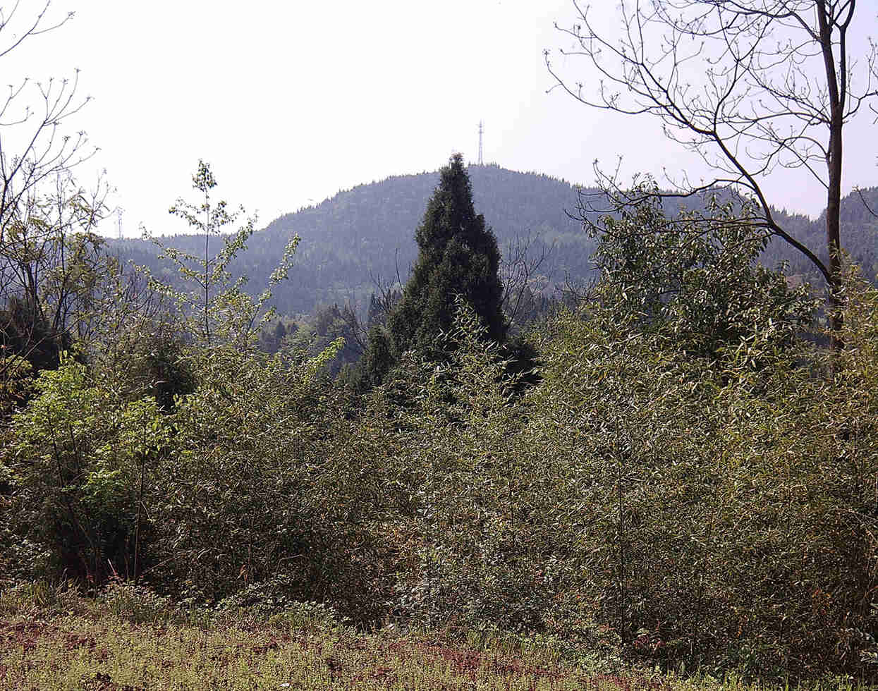 IMG_20140407_105856.jpg