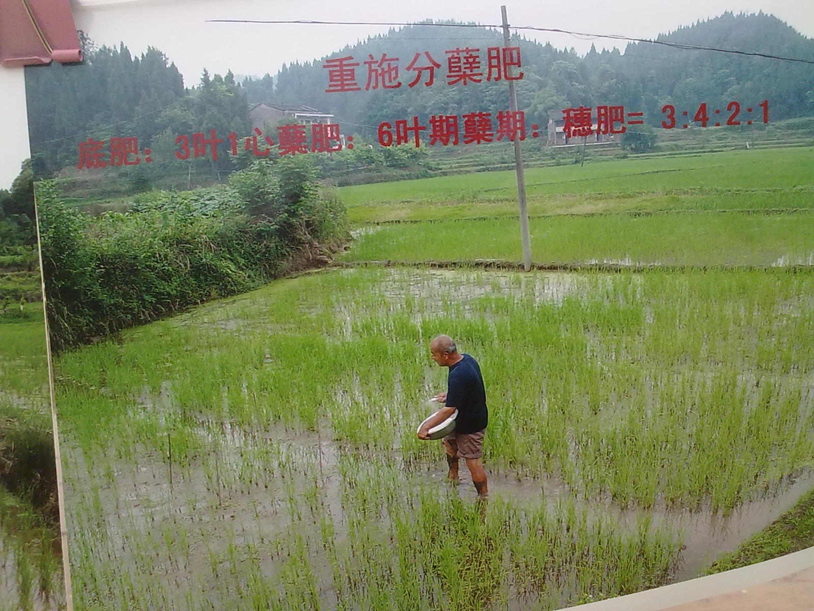 Ƭ 017.jpg