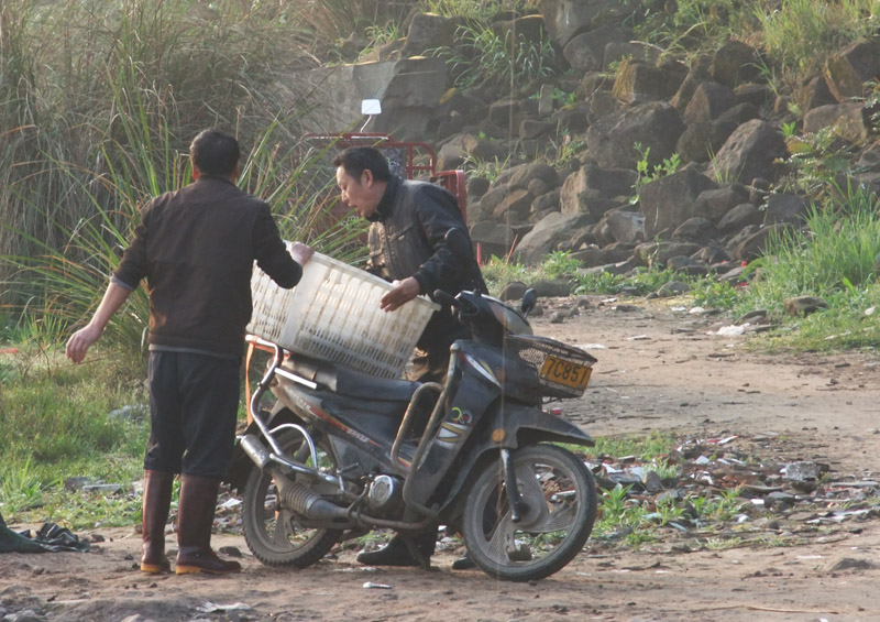 DSCF5293.jpg