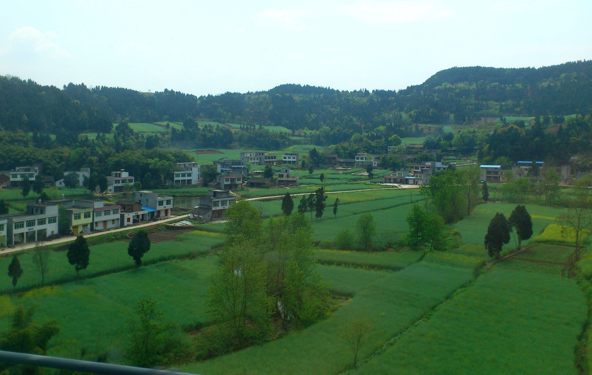IMG_20140403_132727.jpg