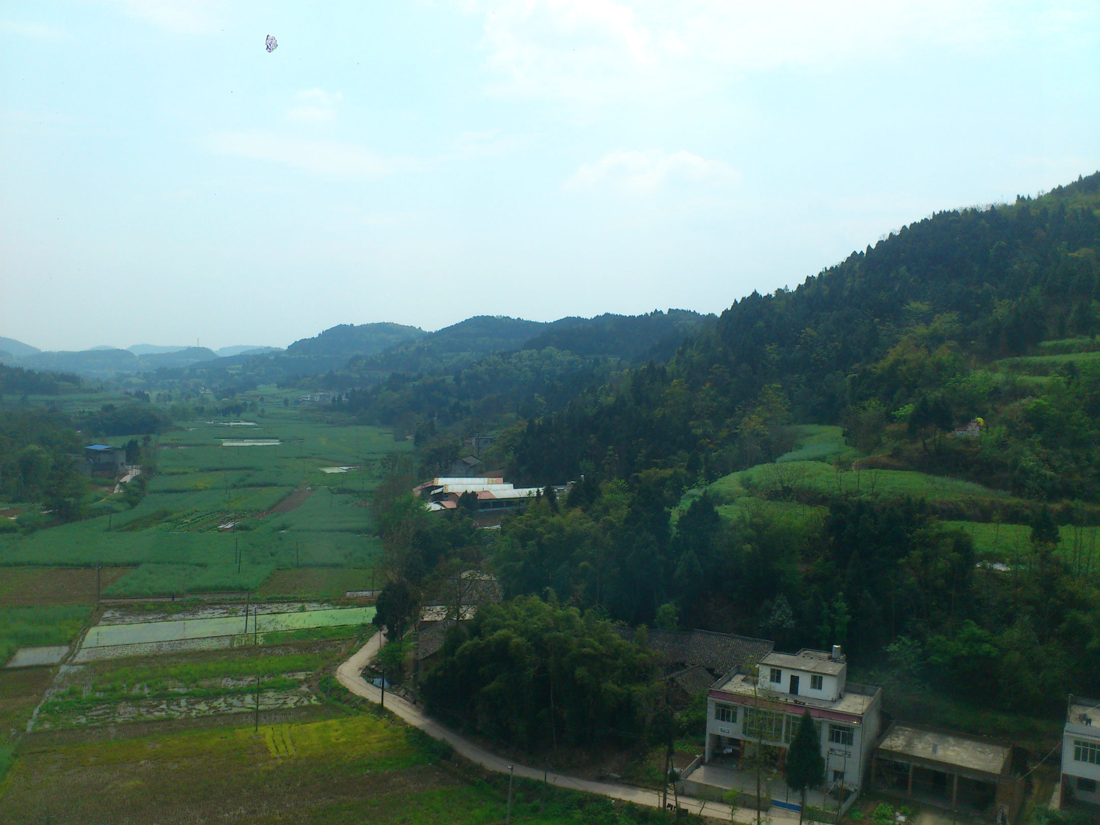 IMG_20140403_133044.jpg