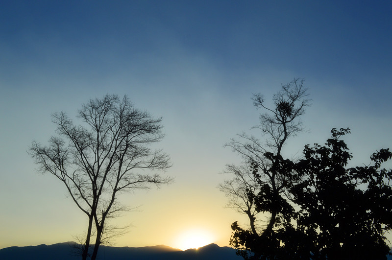 DSC_0454_.jpg