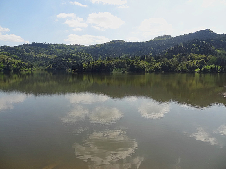 DSC06568_.jpg