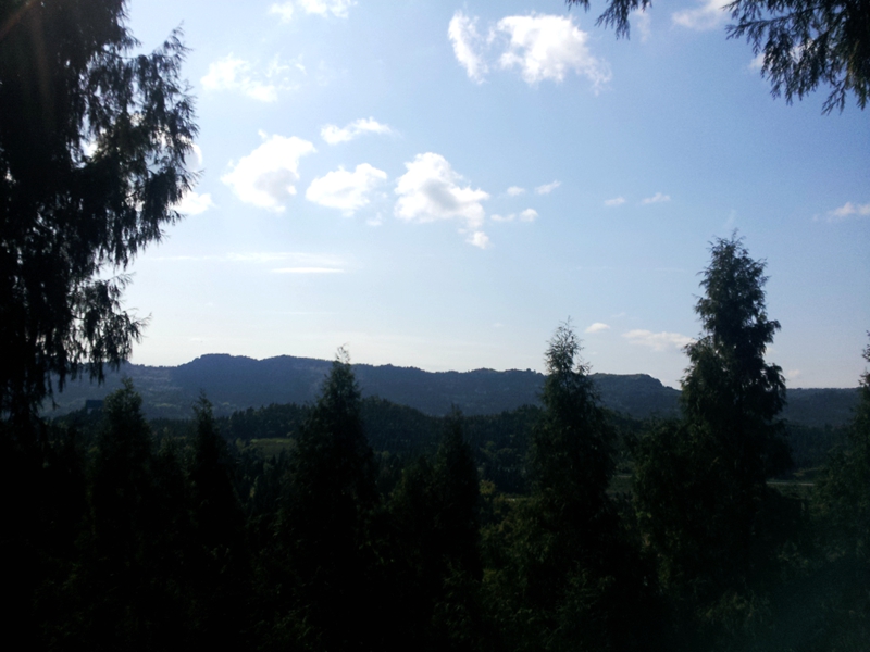 20140412_101911.jpg