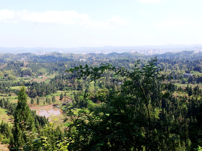 20140412_102553.jpg
