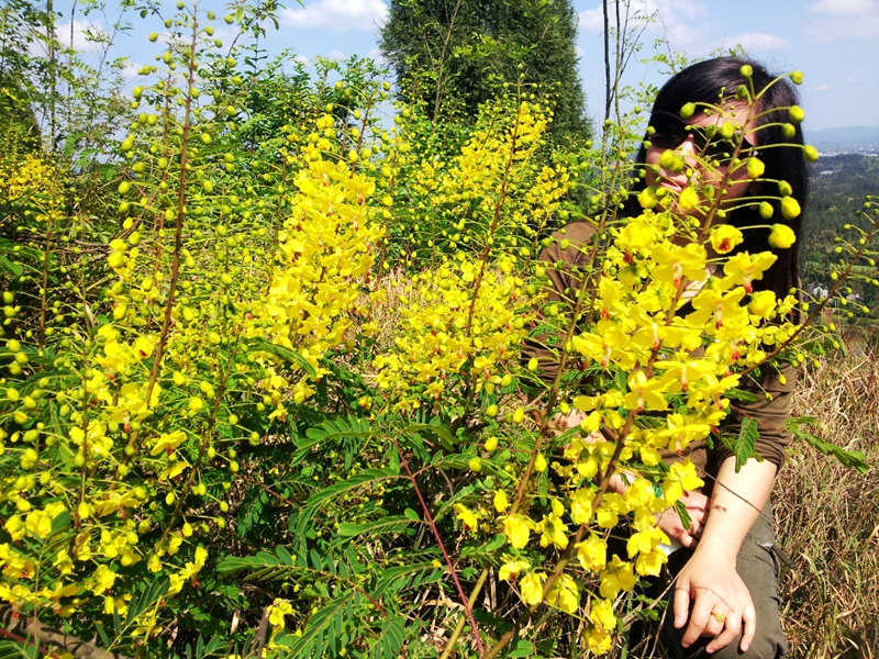 20140412_105349.jpg