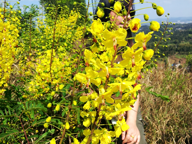 20140412_105352.jpg