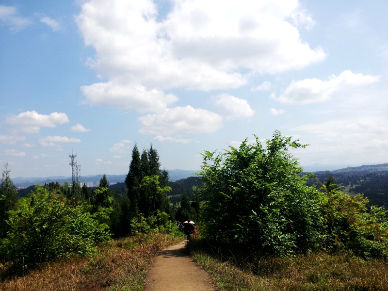 20140412_105619.jpg