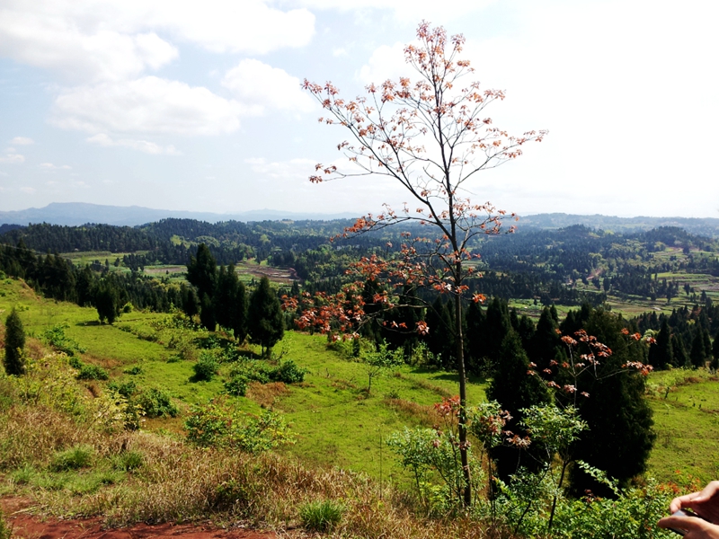 20140412_105741.jpg