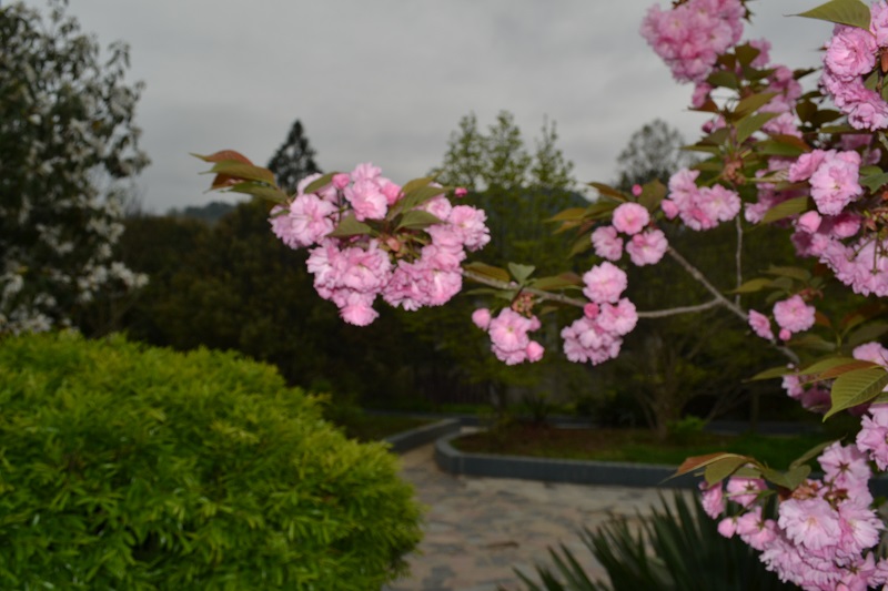 DSC_0060.JPG