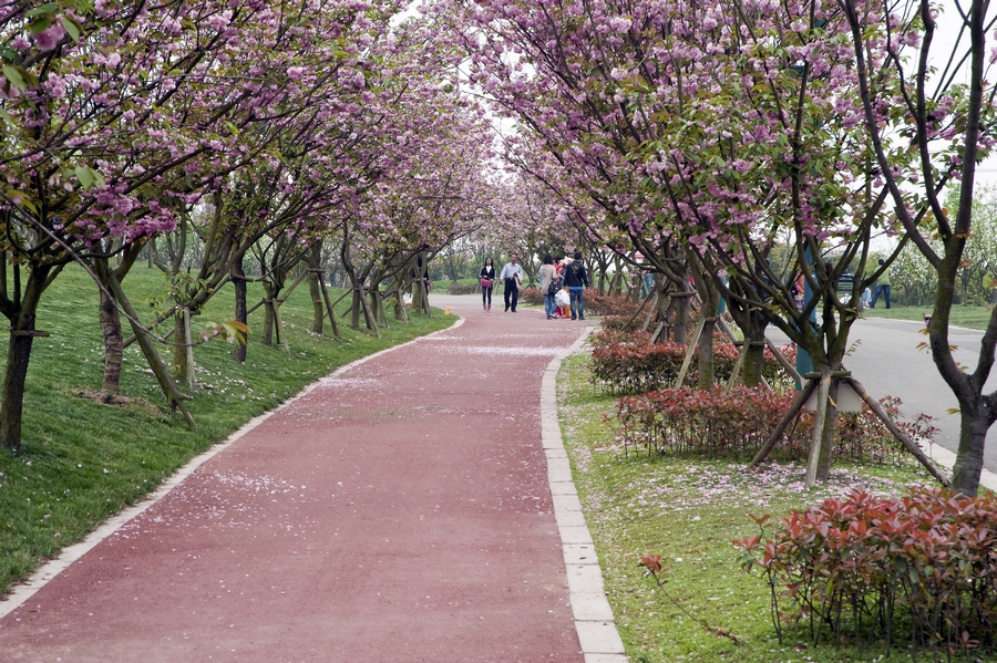 DSC3257psd.jpg