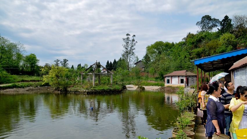 DSC_0029.jpg