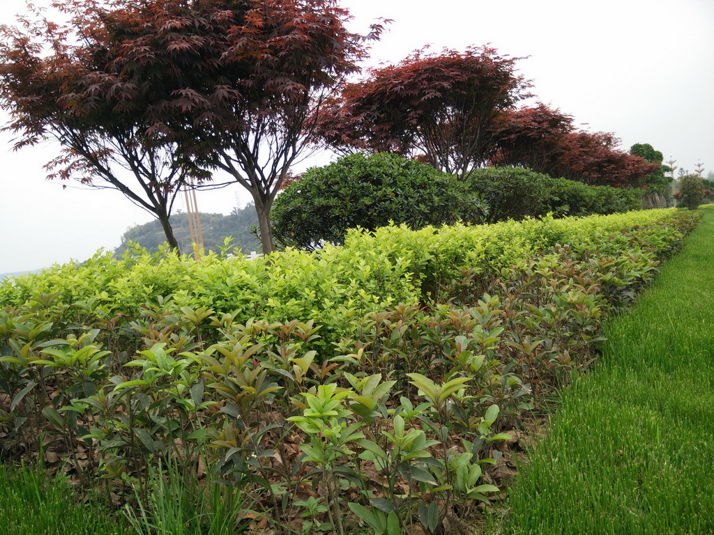 IMG20140414145115.jpg