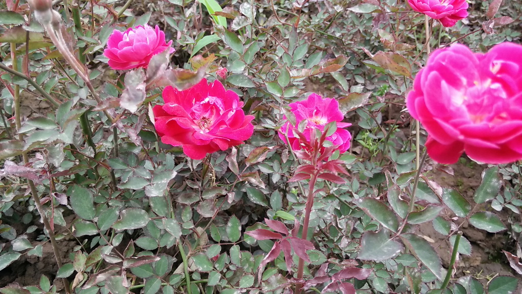 IMG20140414165156.jpg