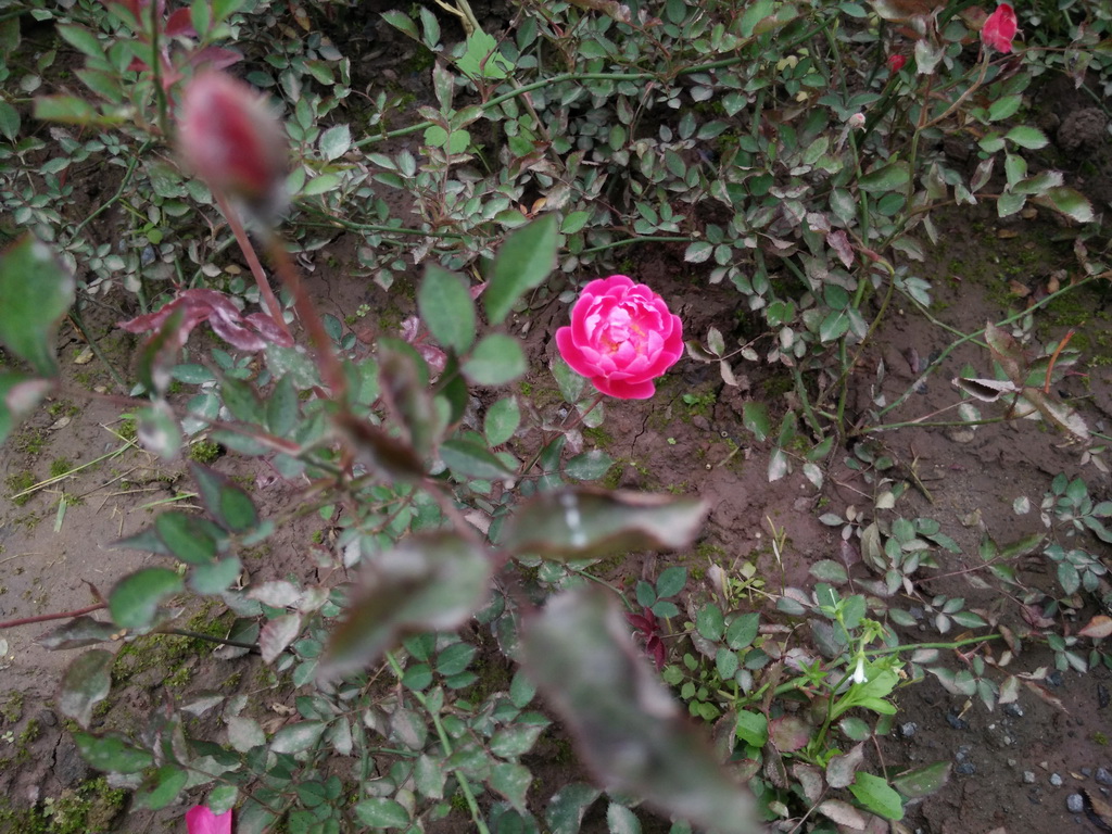 IMG20140414165428.jpg
