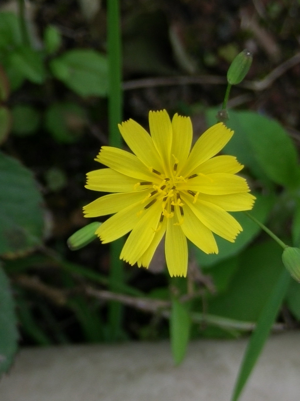 IMG20140414170317.jpg