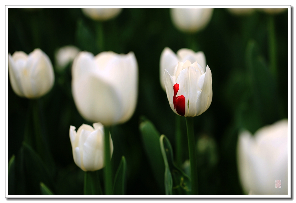 888A6260__.jpg