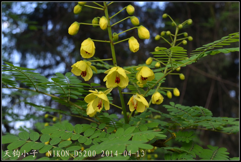 DSC_1256.JPG