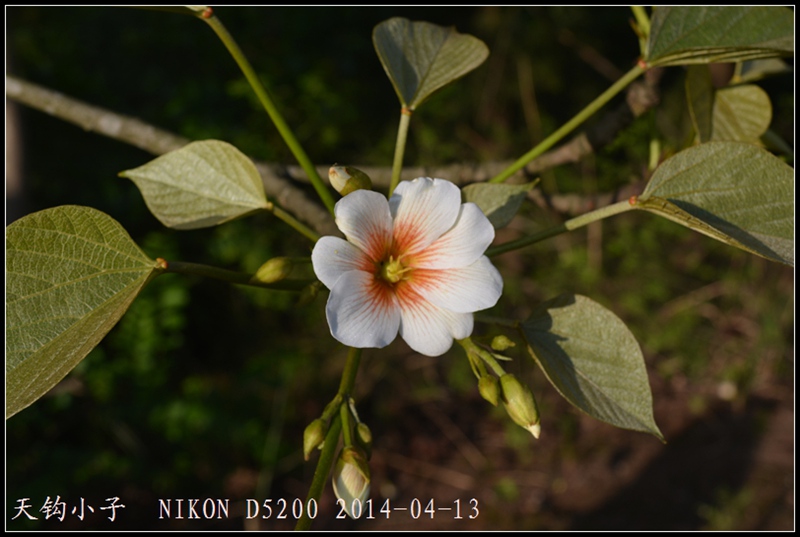 DSC_1263.JPG