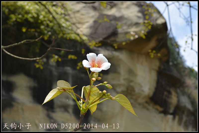 DSC_1589.JPG