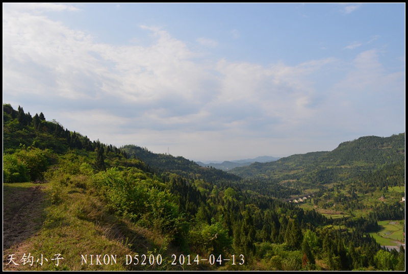 DSC_1295.JPG
