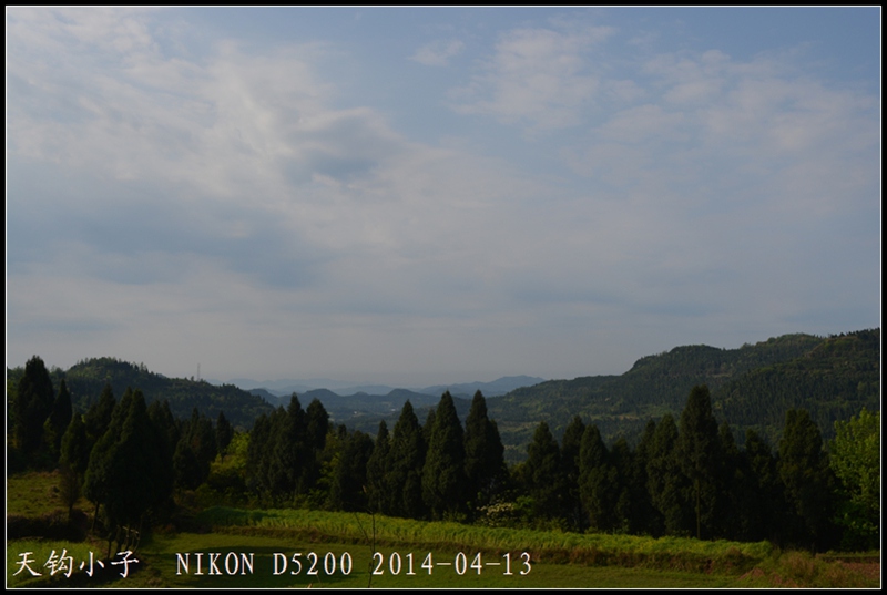 DSC_1306.JPG