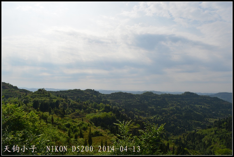 DSC_1329.JPG